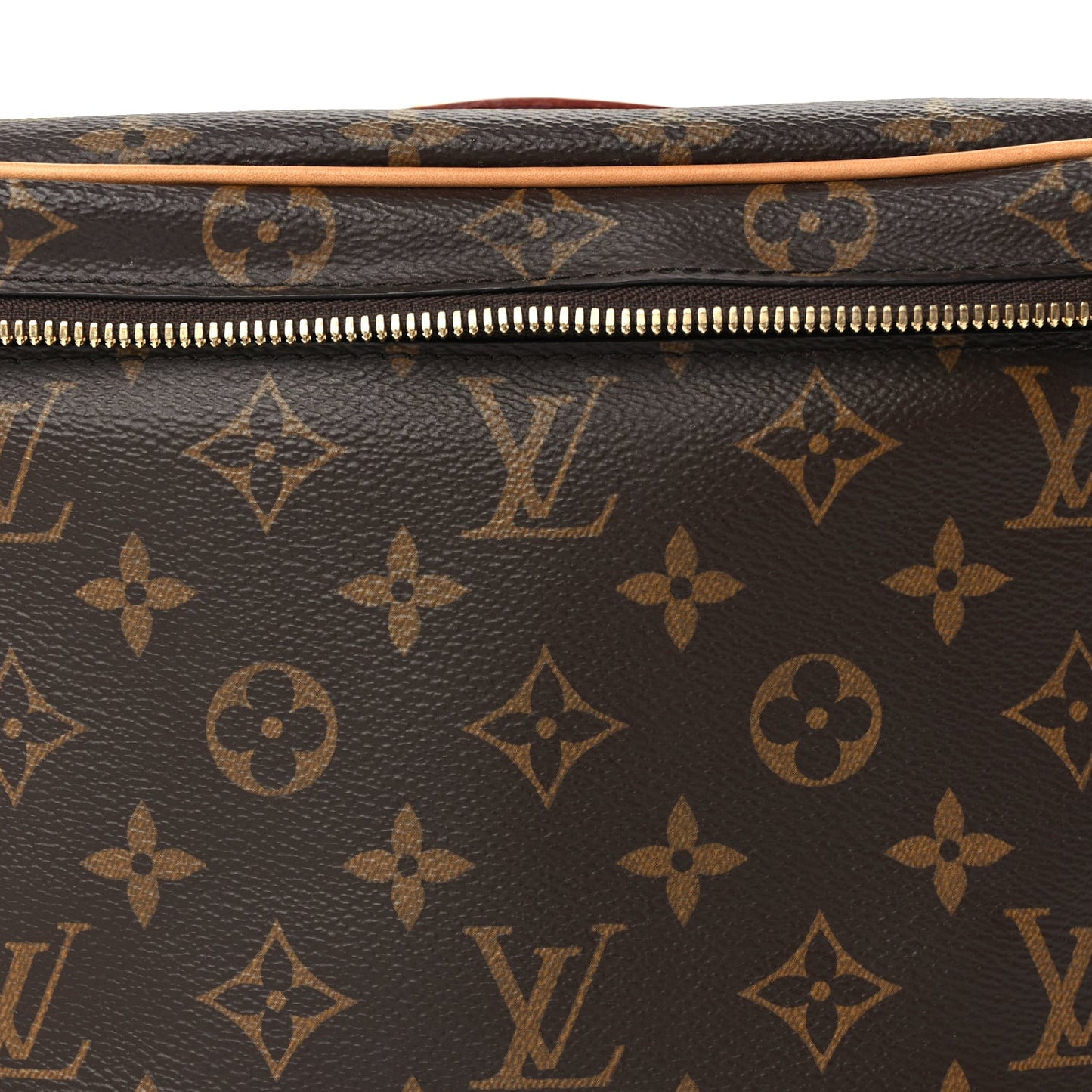 Louis Vuitton Monogram Nice BB