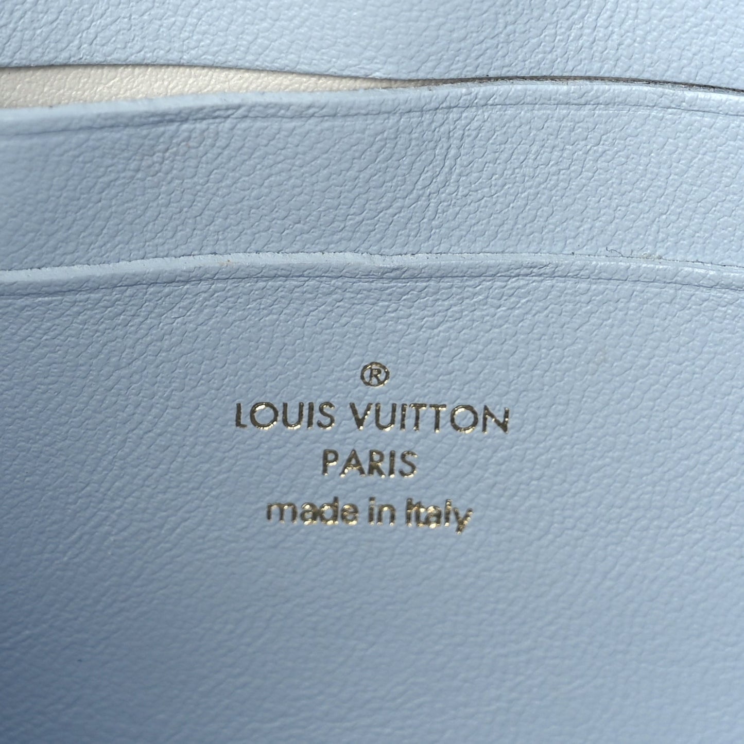 Louis Vuitton Calfskin Bubblegram Wallet On Strap Ice Blue