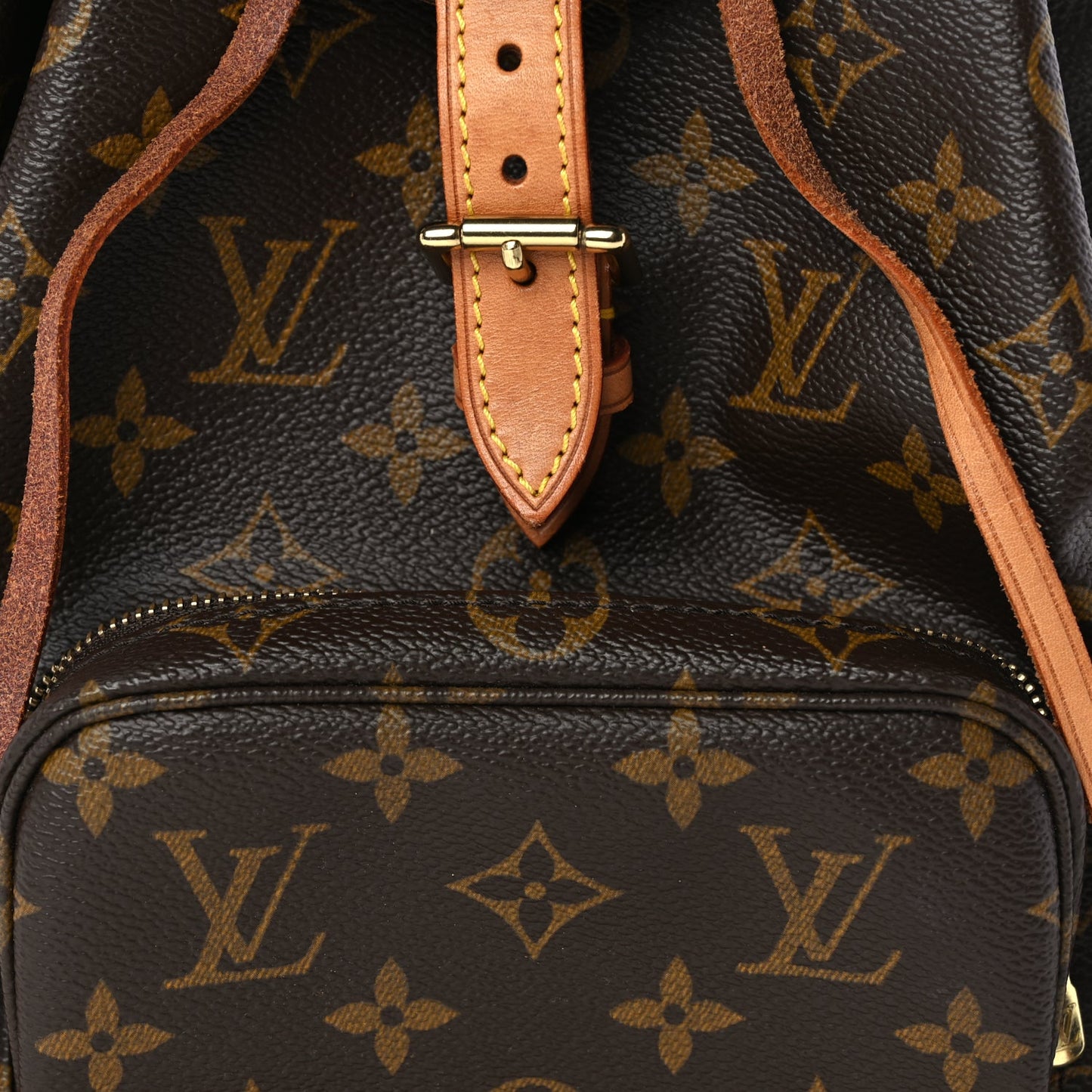 Louis Vuitton Monogram Montsouris MM Backpack