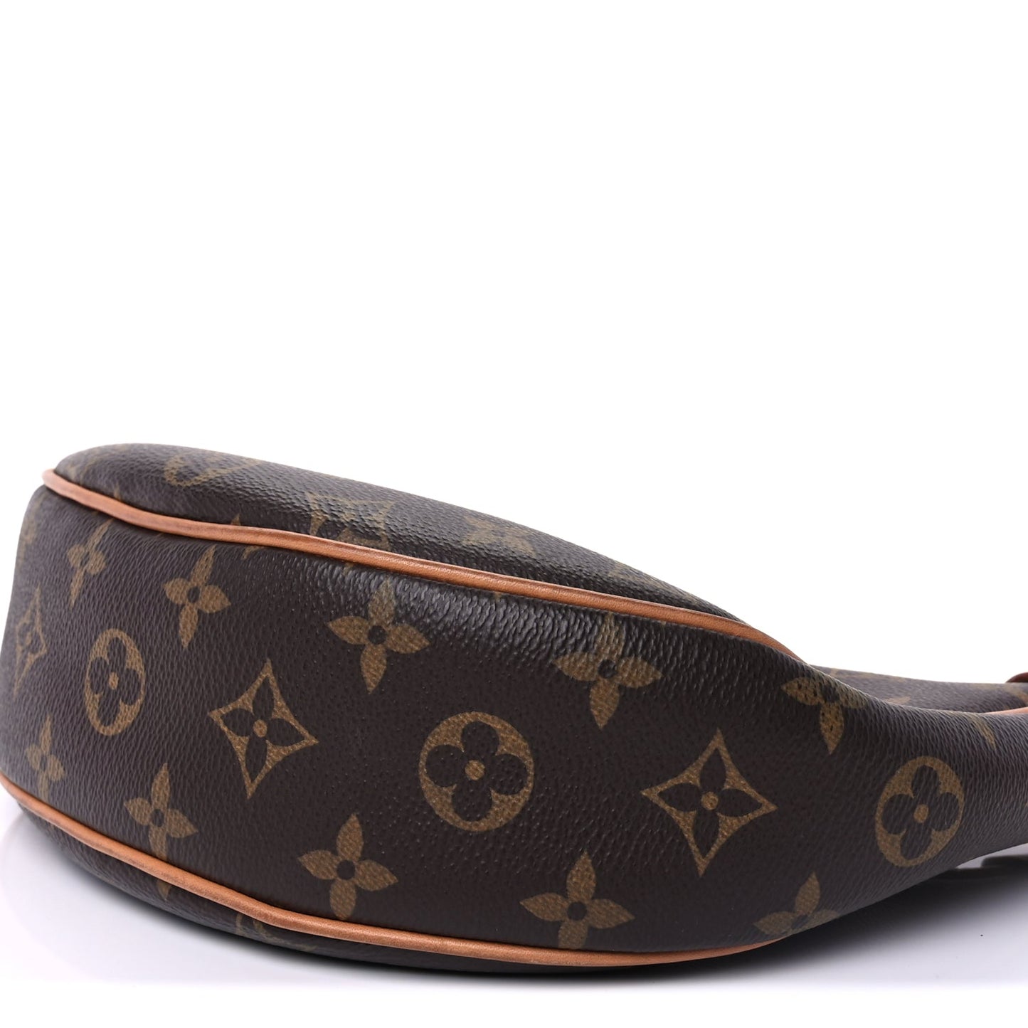 Louis Vuitton Monogram Loop