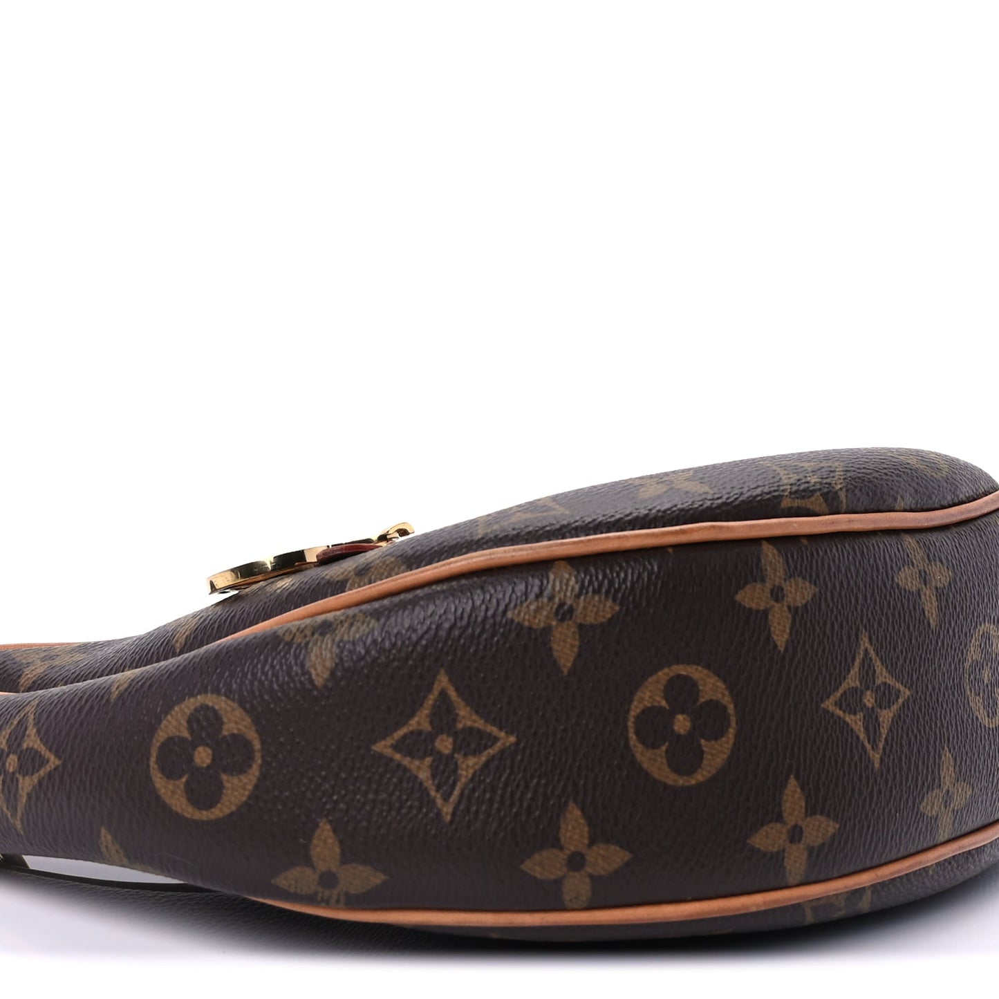 Louis Vuitton Monogram Loop