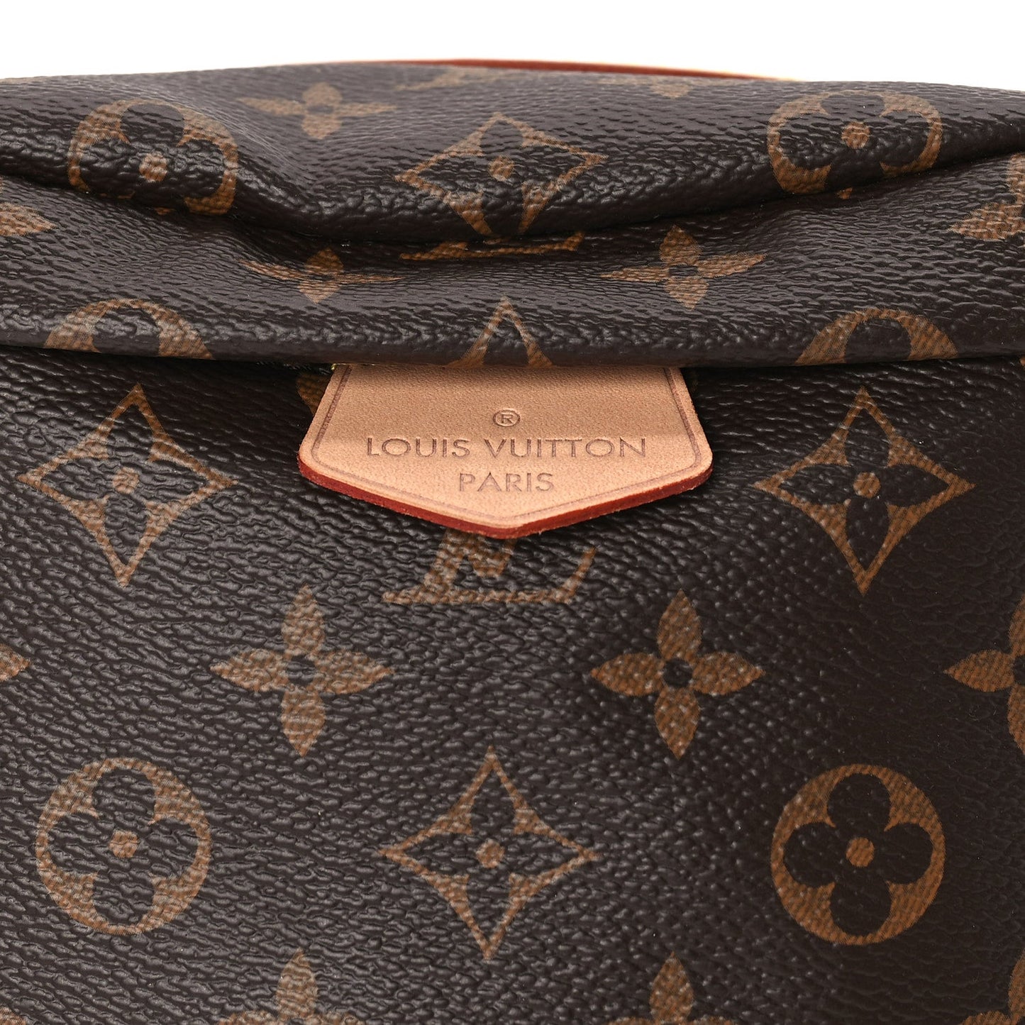 Louis Vuitton Monogram Bumbag Brown