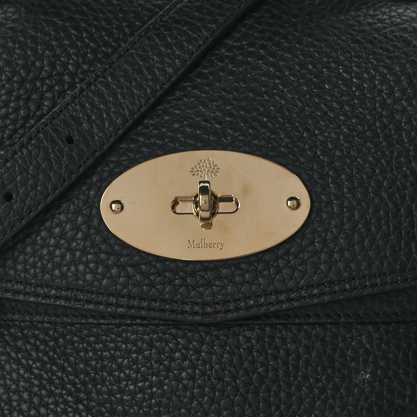 Mulberry Heavy Grain Alexa Black