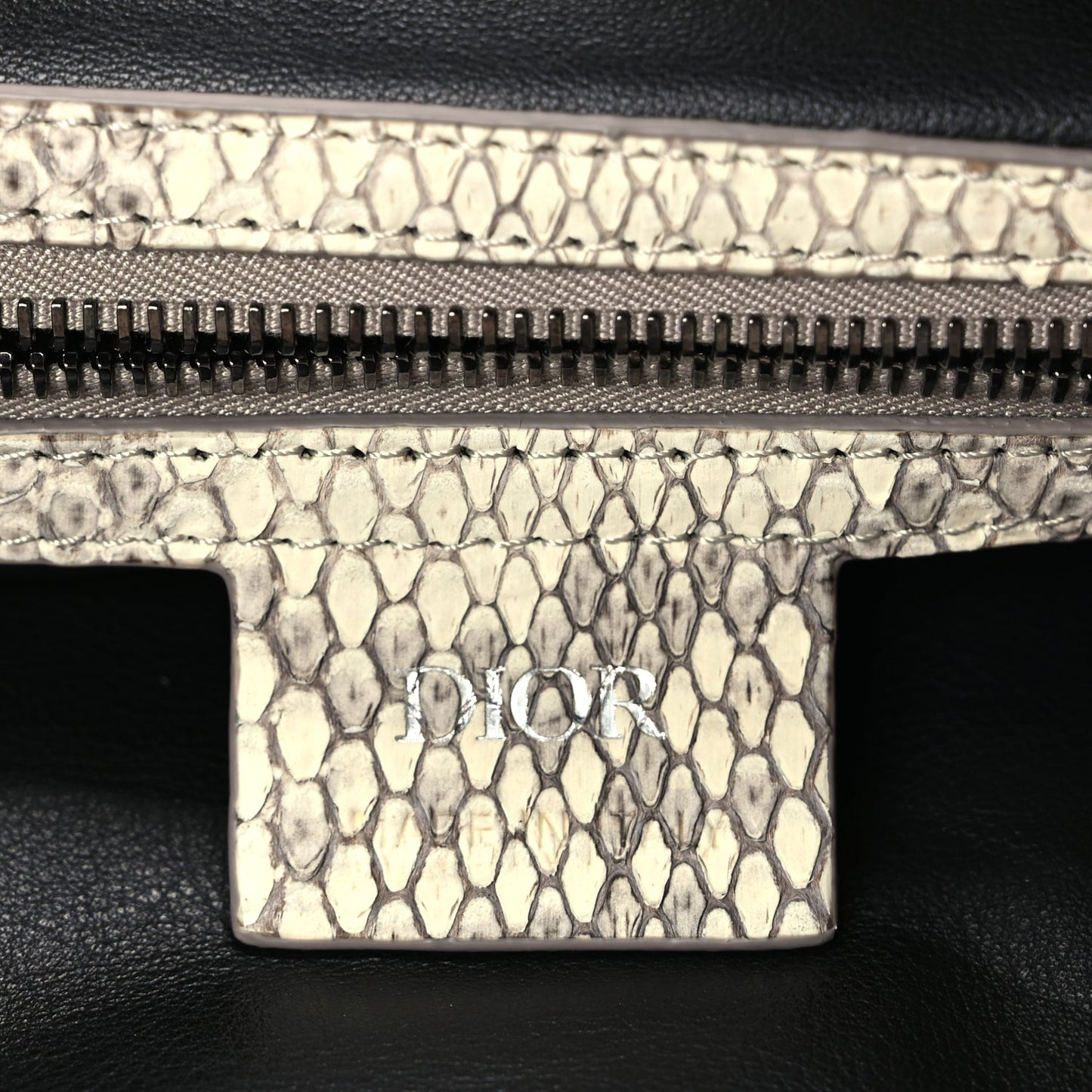 Christian Dior CHRISTIAN DIOR Snakeskin Saddle Soft Bag