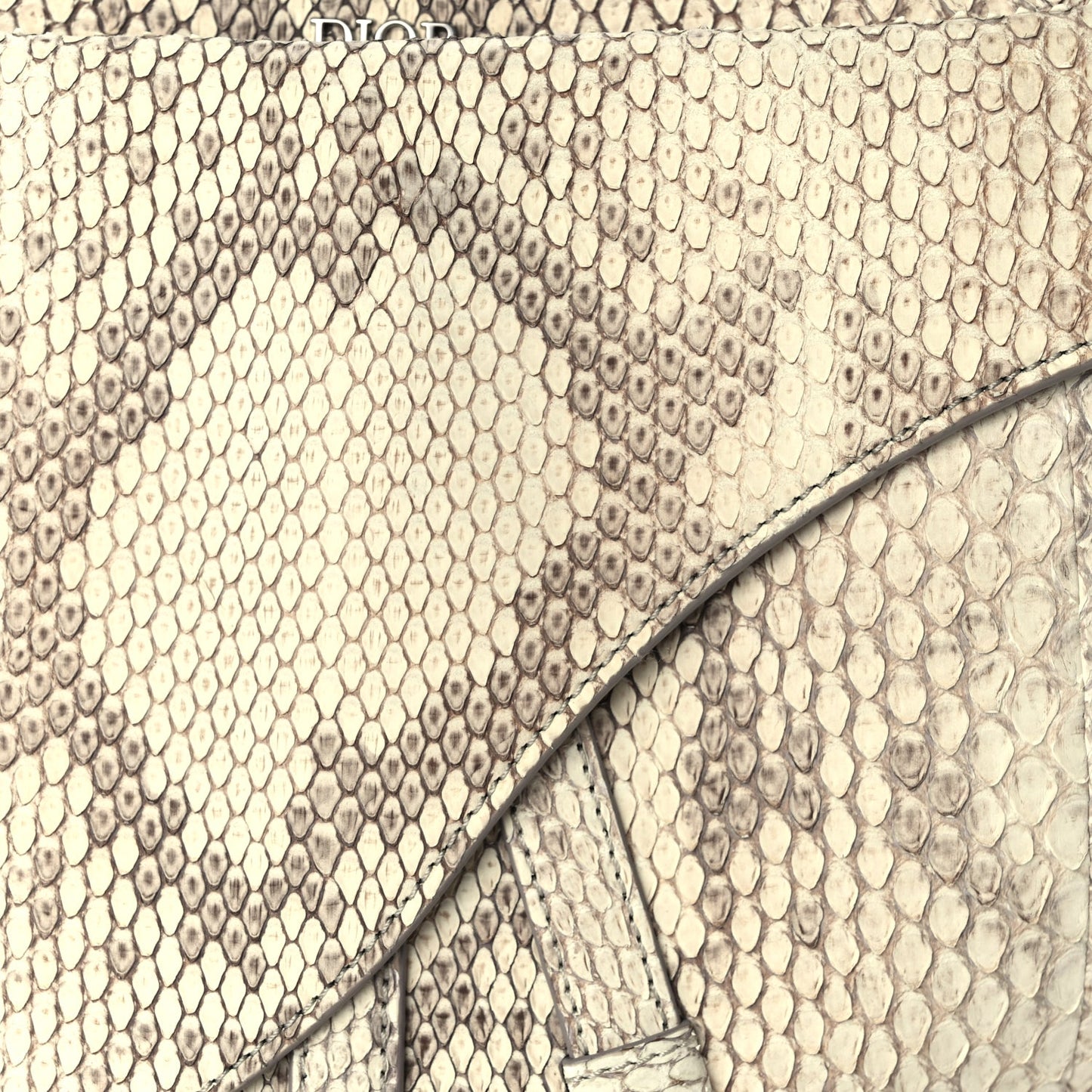 Christian Dior CHRISTIAN DIOR Snakeskin Saddle Soft Bag