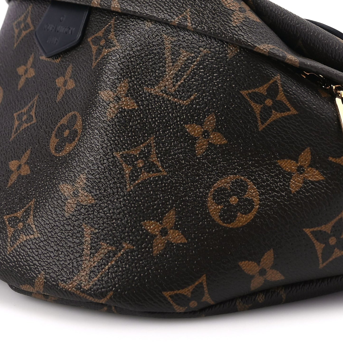 Louis Vuitton Monogram My LV World Tour Bumbag
