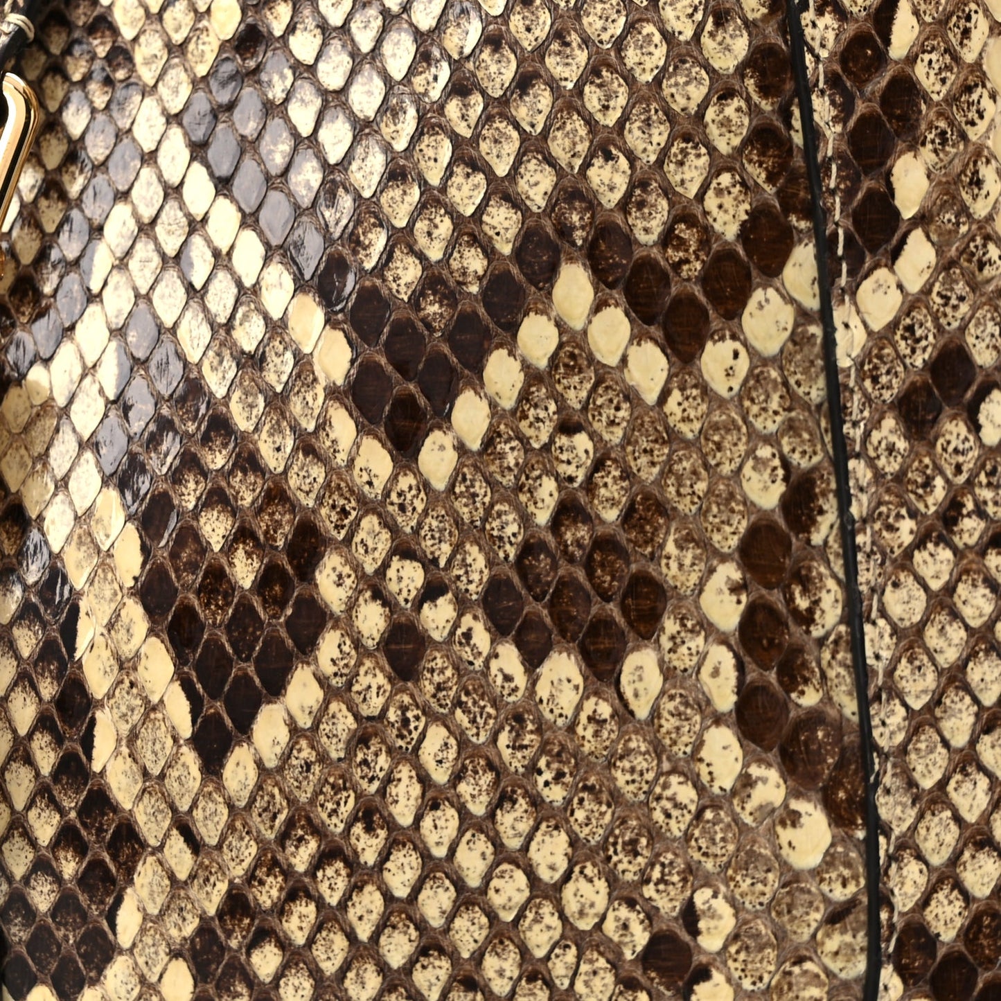 Gucci Snakeskin Small Jackie 1961 Hobo Beige