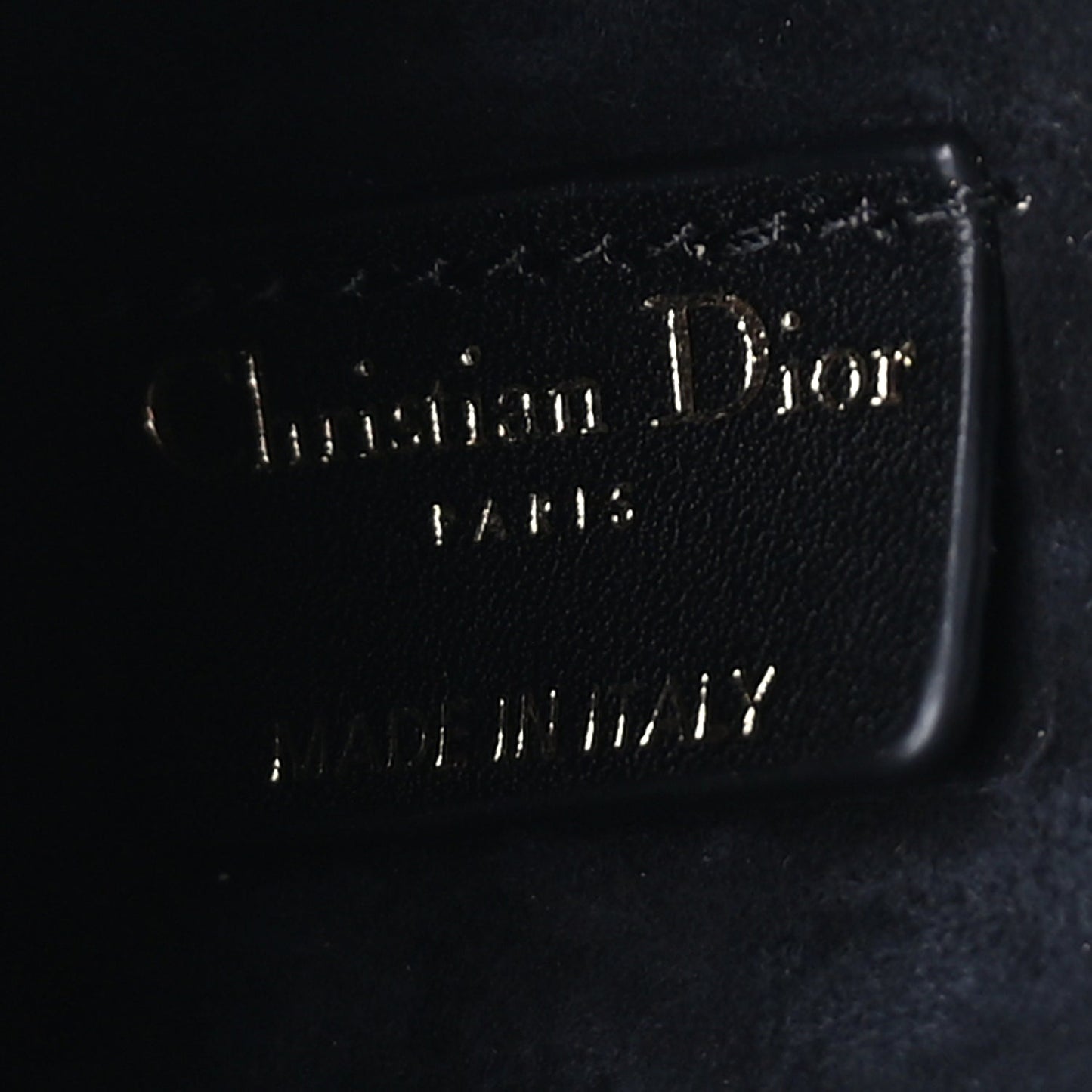 Christian Dior Calfskin Embossed Jardin Botanique Micro Vanity Case Black