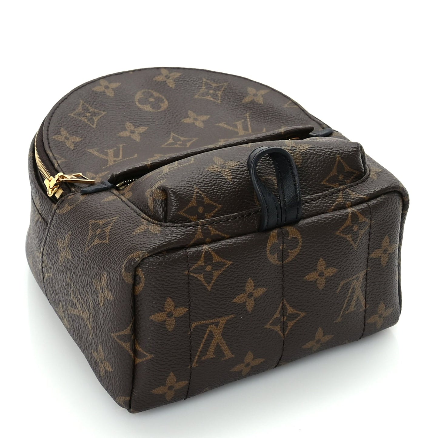 Louis Vuitton Monogram Palm Springs Backpack Mini