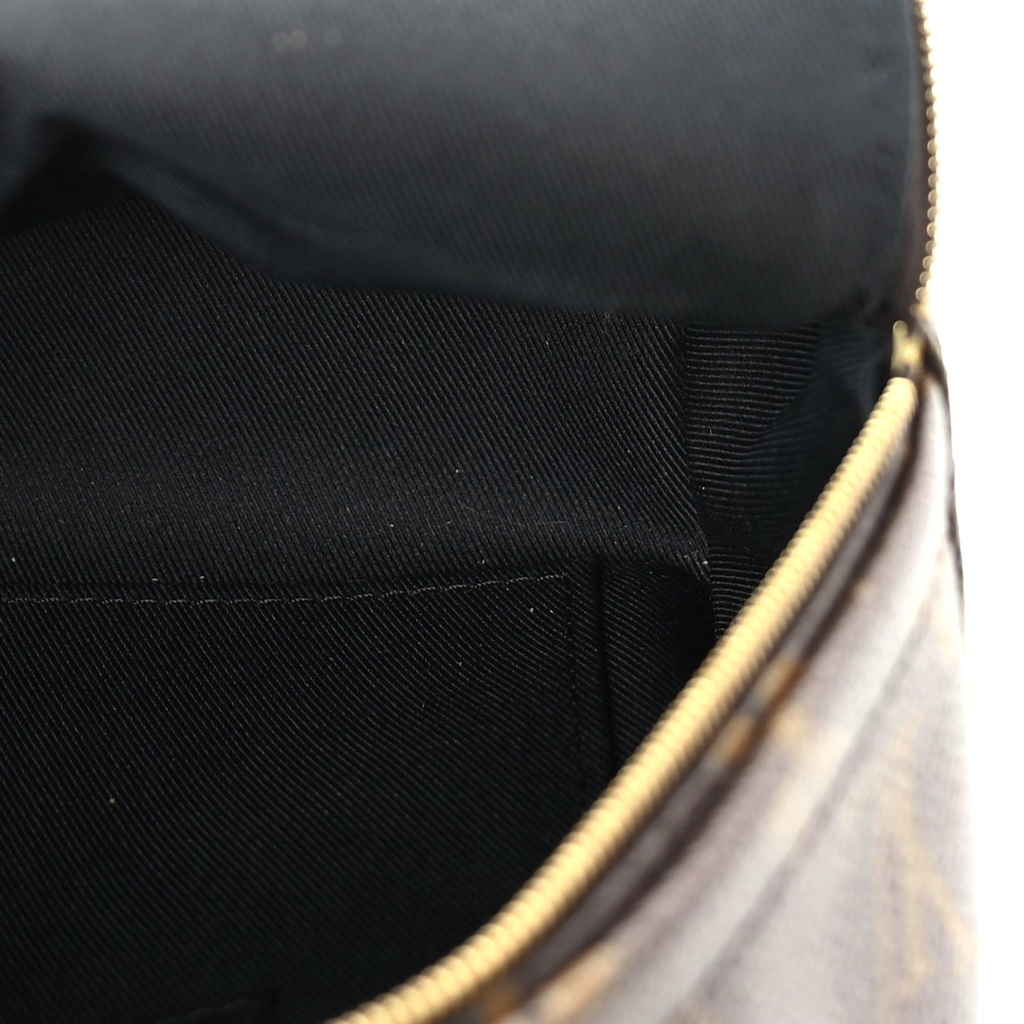 Louis Vuitton Monogram Palm Springs Backpack Mini