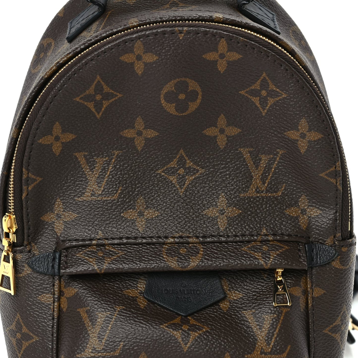 Louis Vuitton Monogram Palm Springs Backpack Mini