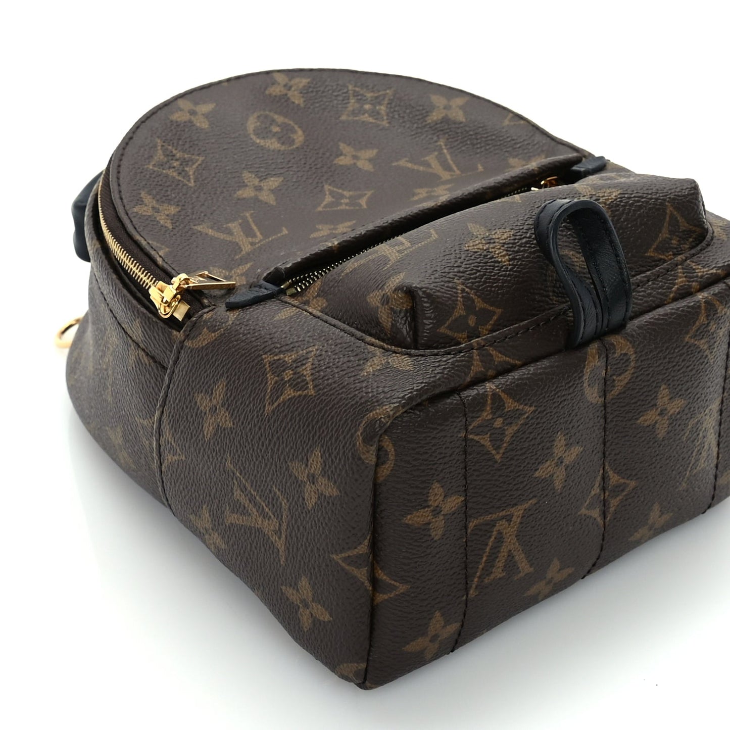 Louis Vuitton Monogram Palm Springs Backpack Mini