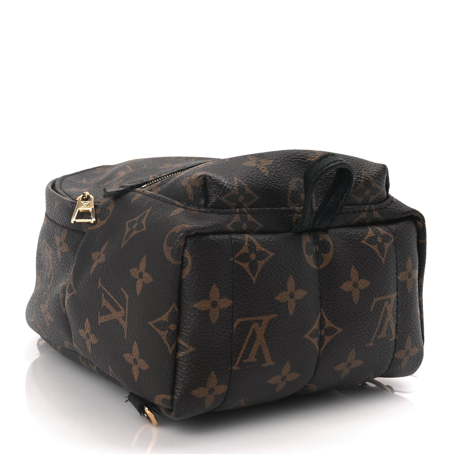 Louis Vuitton Monogram Palm Springs Backpack Mini