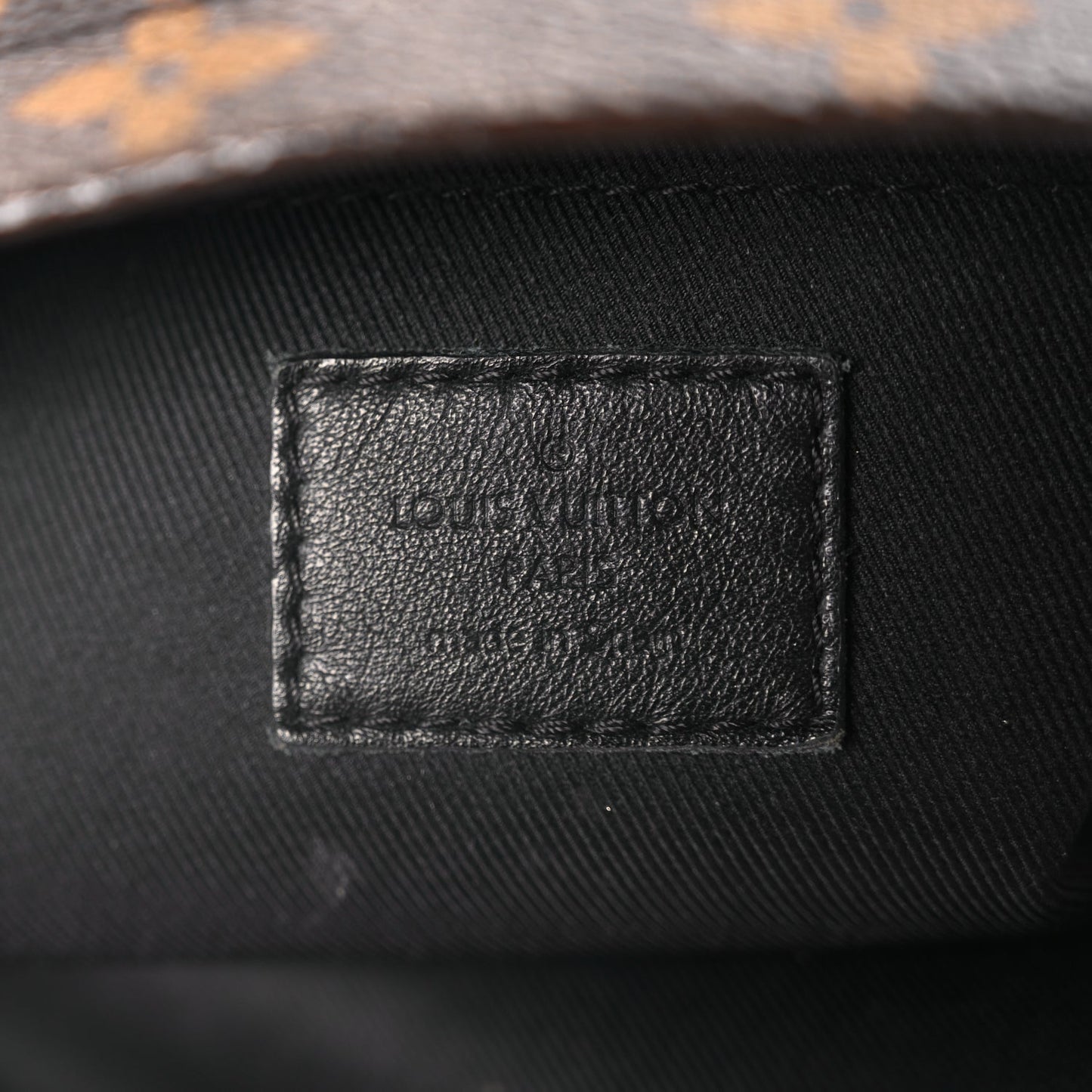 Louis Vuitton Monogram Palm Springs Backpack Mini