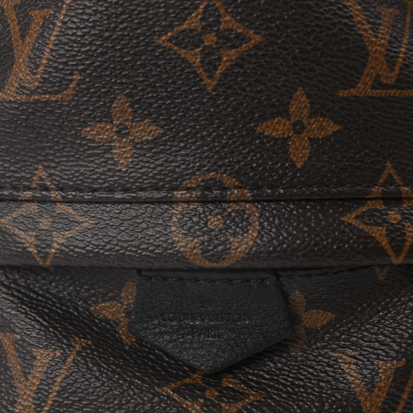Louis Vuitton Monogram Palm Springs Backpack Mini