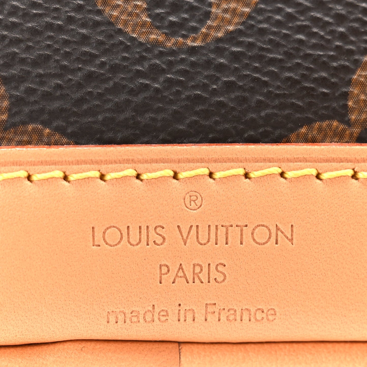 Louis Vuitton Monogram Nano Noe NV