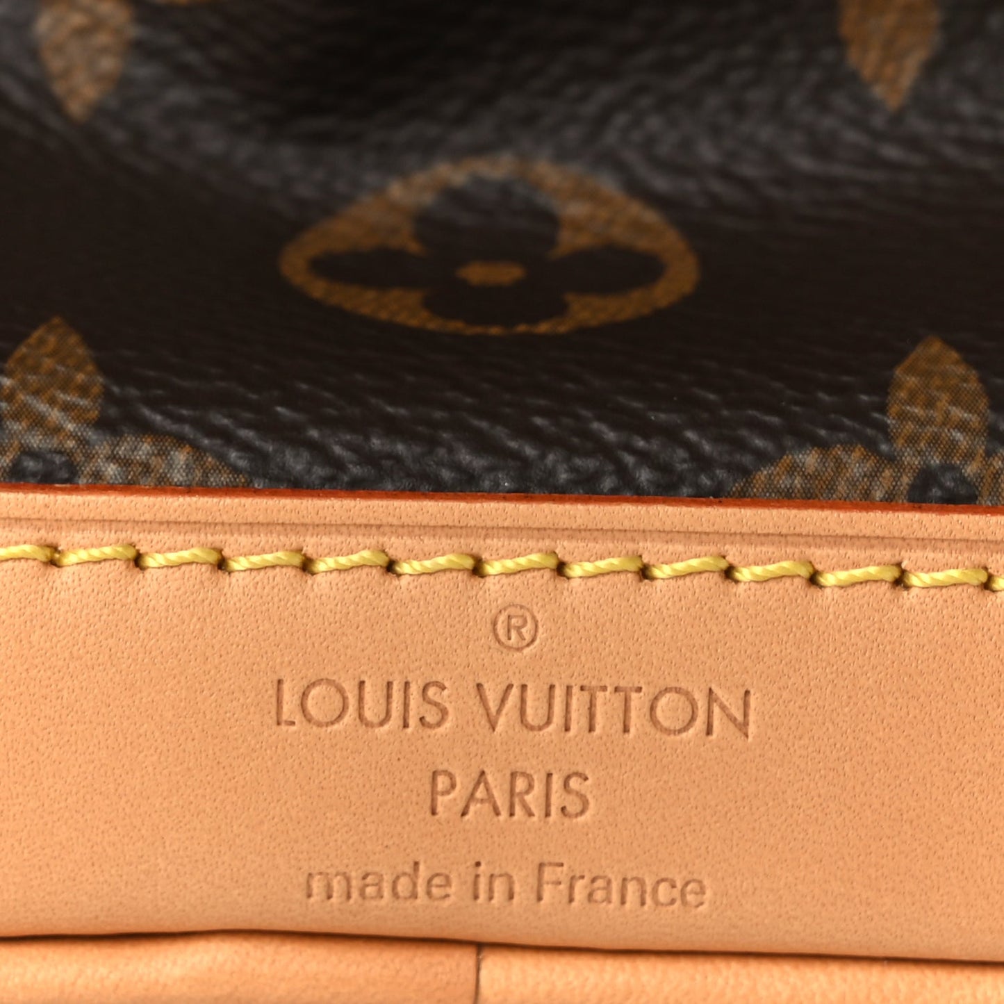 Louis Vuitton Monogram Nano Noe NV
