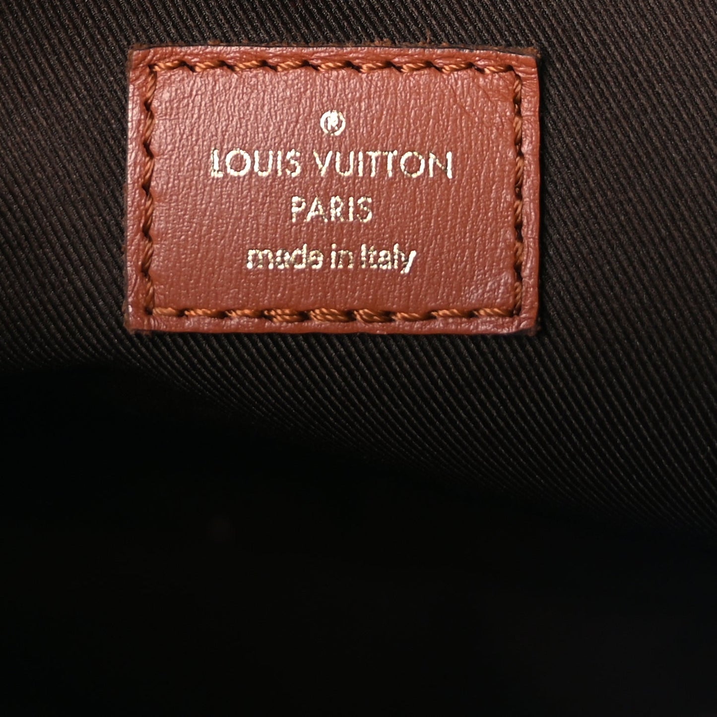 Louis Vuitton Reverse Monogram Loop Hobo