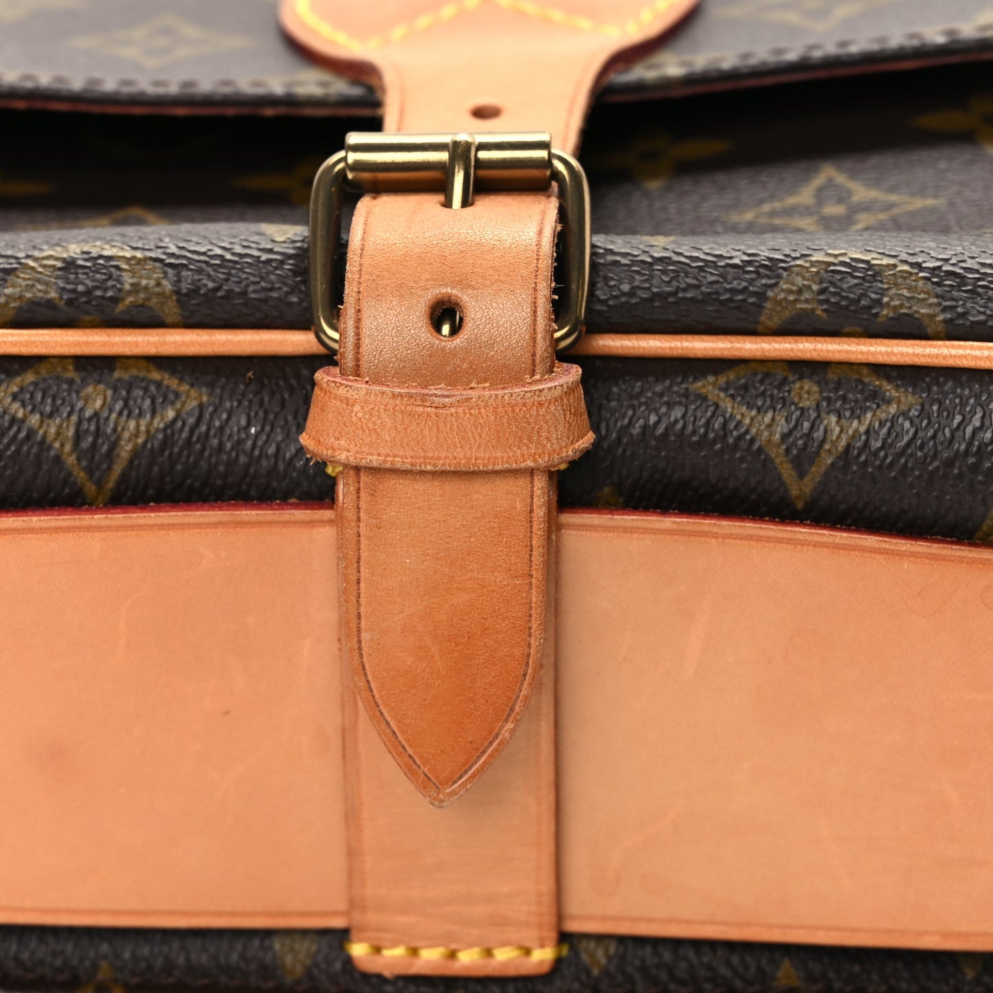Louis Vuitton Monogram Cartouchiere 22 Monogram