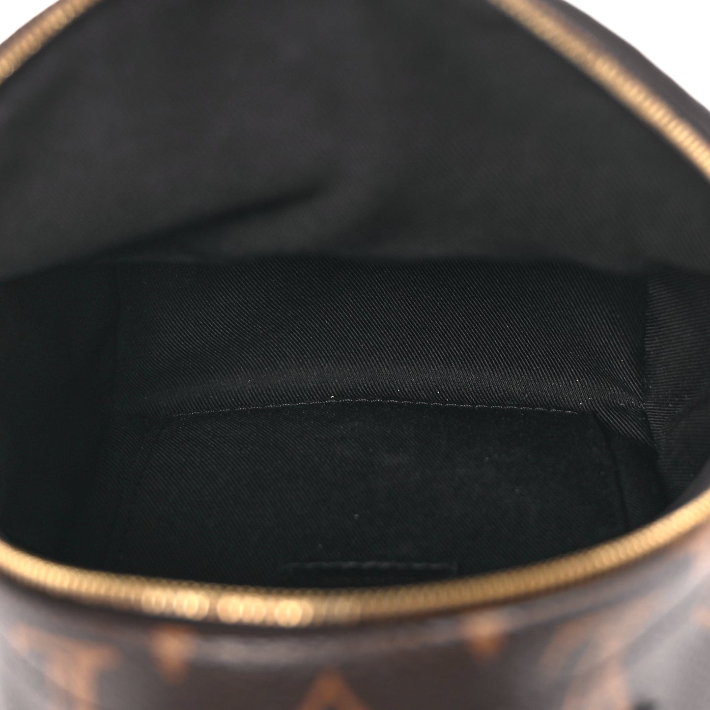 Louis Vuitton Monogram Palm Springs Backpack Mini
