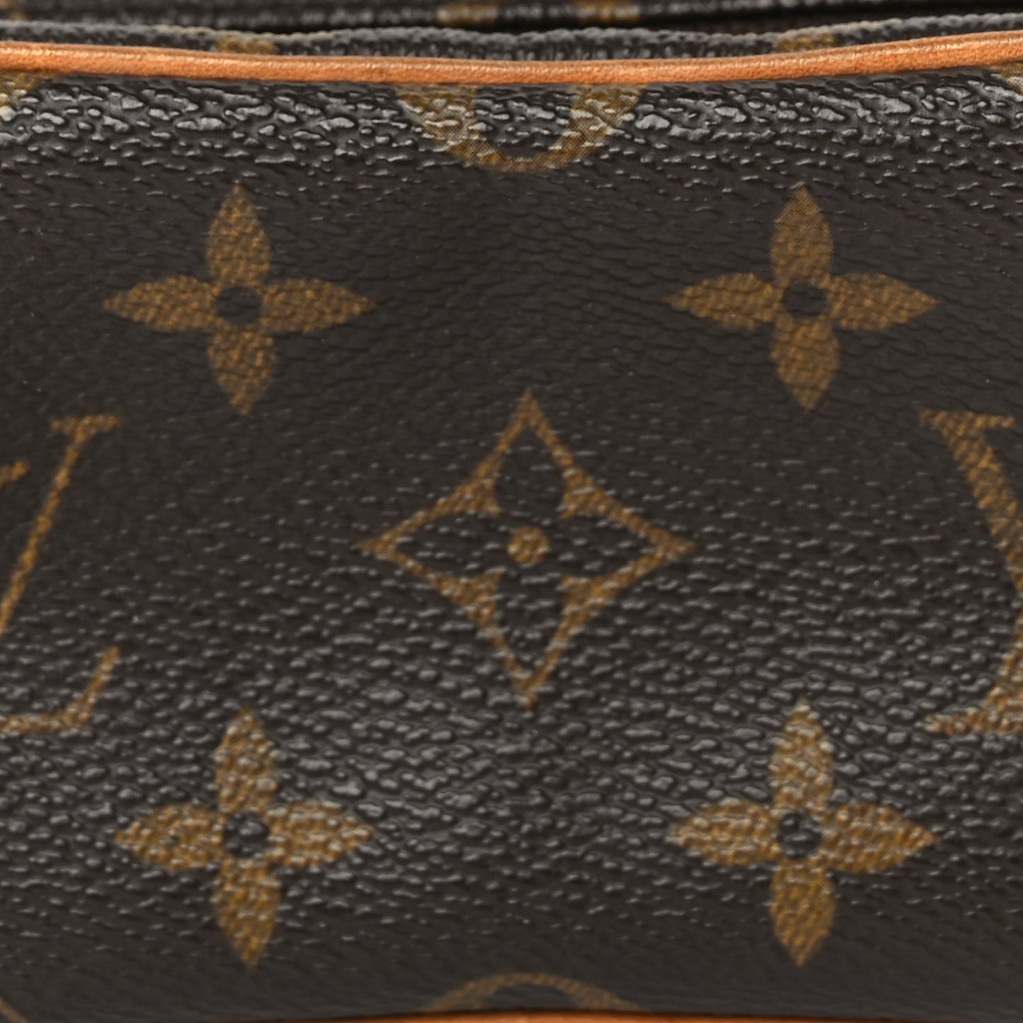 Louis Vuitton Monogram Wapity