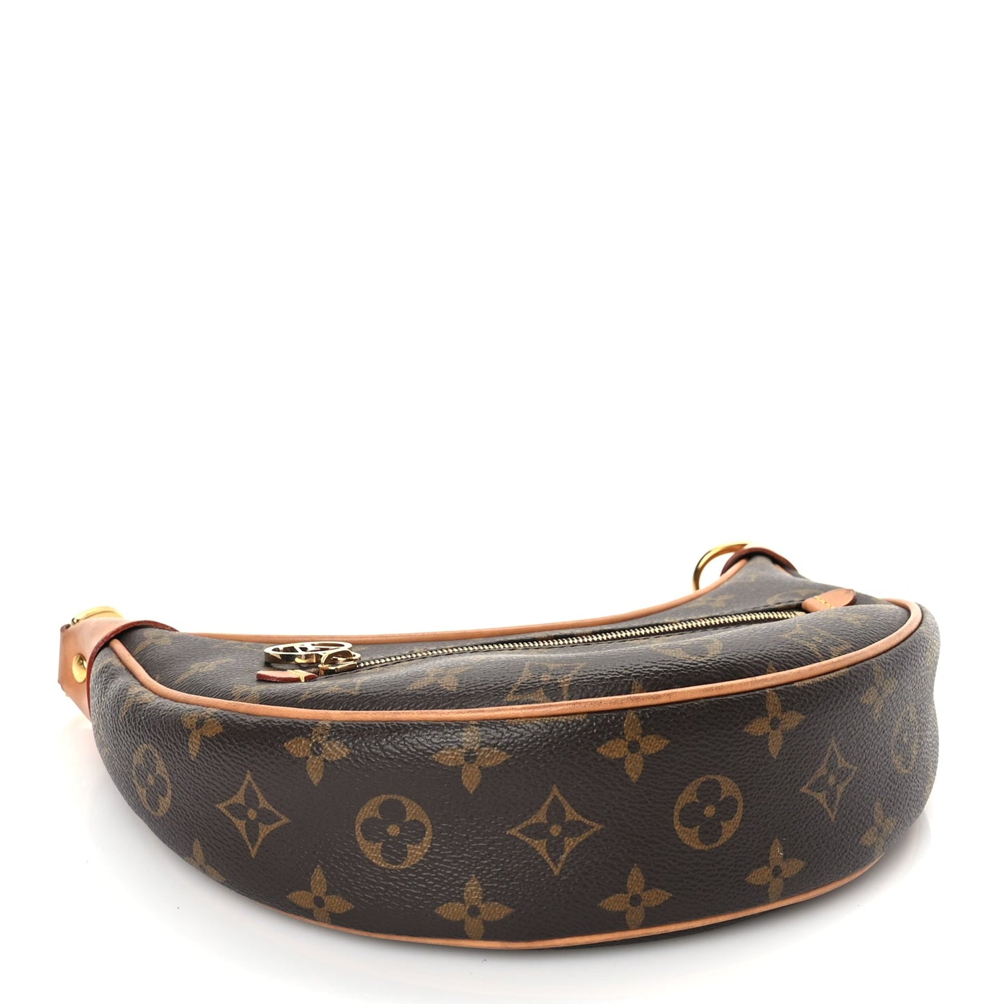 Louis Vuitton Monogram Loop