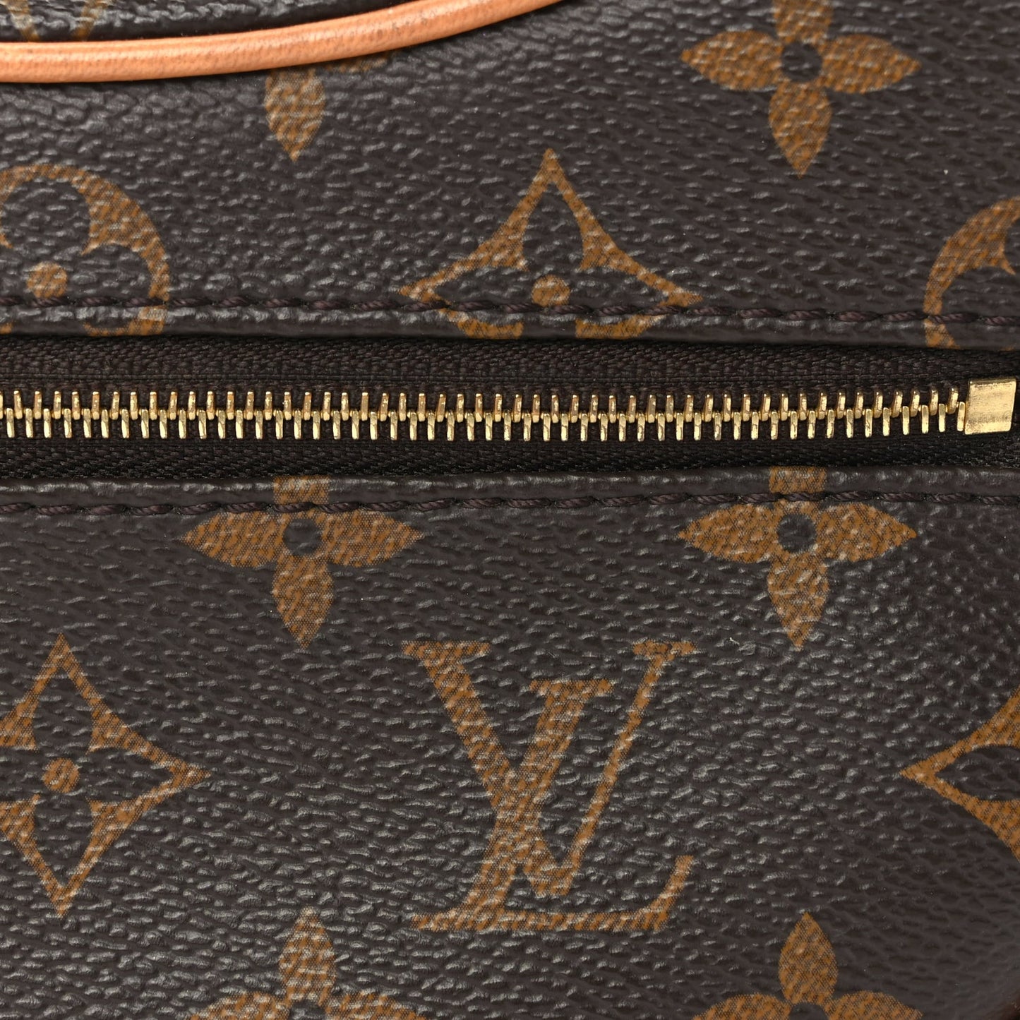 Louis Vuitton Monogram Loop