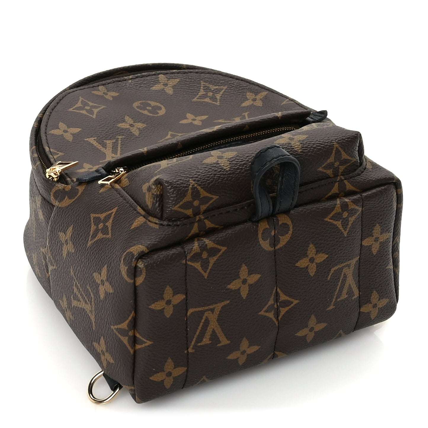 Louis Vuitton Monogram Palm Springs Backpack Mini