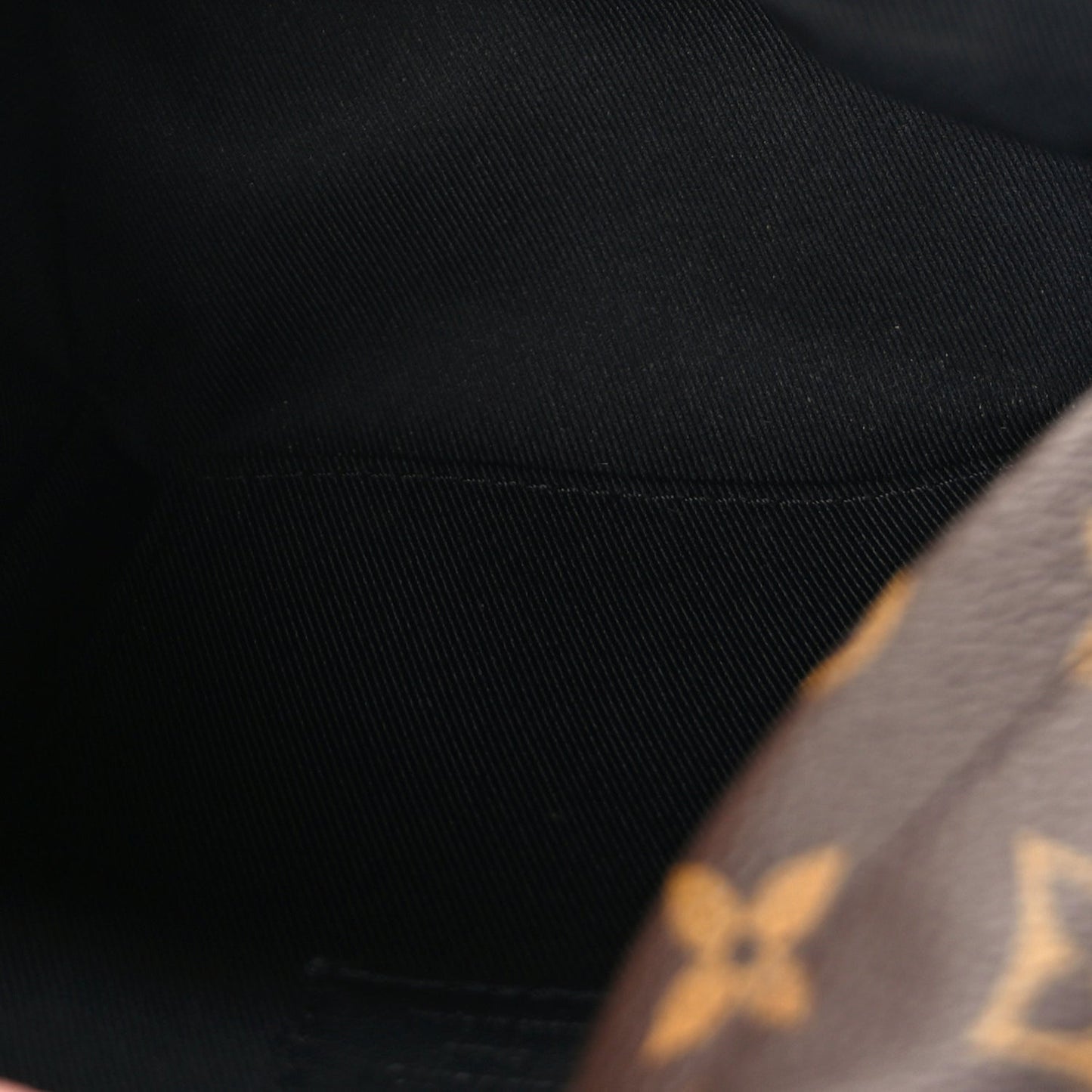 Louis Vuitton Monogram Palm Springs Backpack Mini