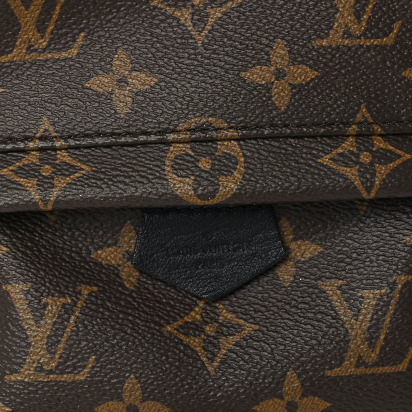 Louis Vuitton Monogram Palm Springs Backpack Mini