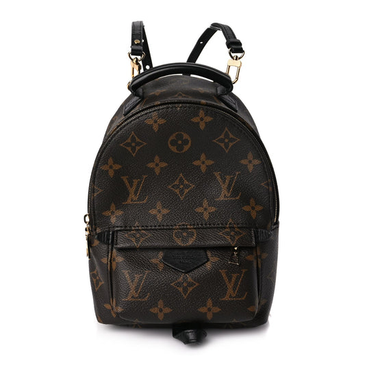 Louis Vuitton Monogram Palm Springs Backpack Mini