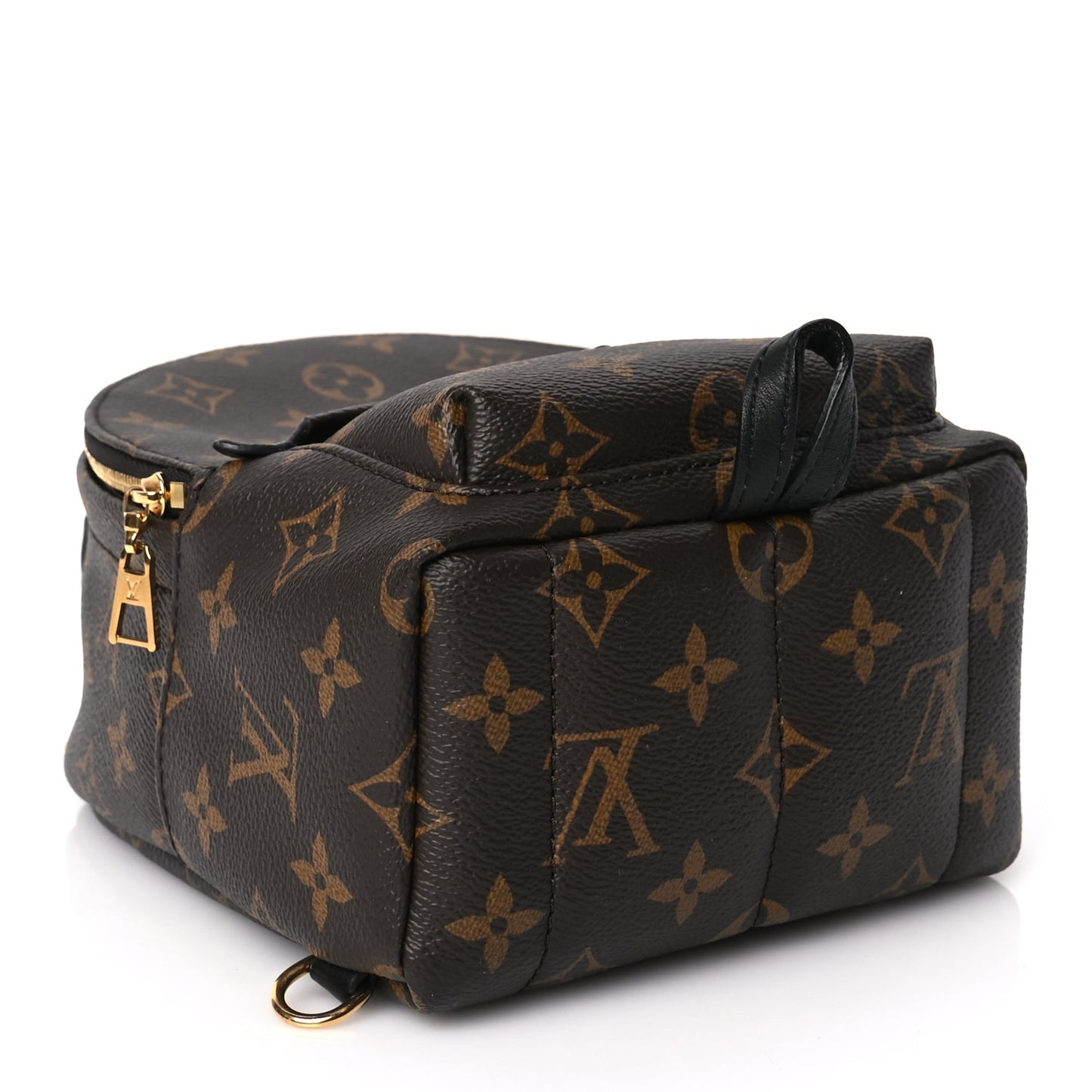 Louis Vuitton Monogram Palm Springs Backpack Mini