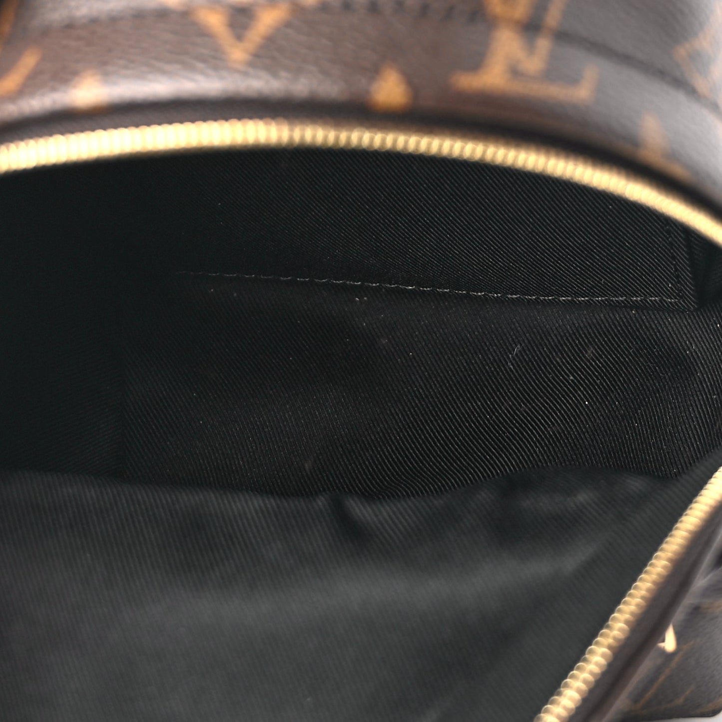 Louis Vuitton Monogram Palm Springs Backpack Mini