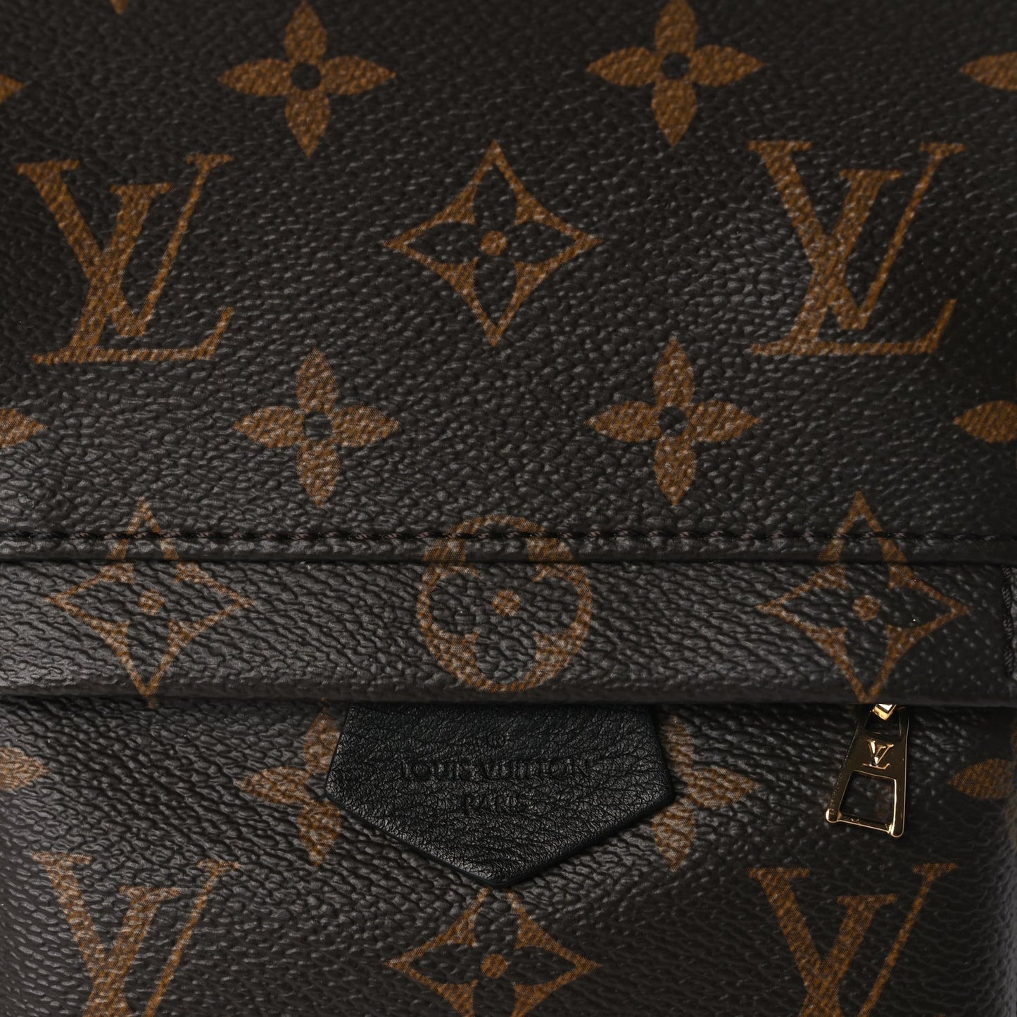 Louis Vuitton Monogram Palm Springs Backpack Mini