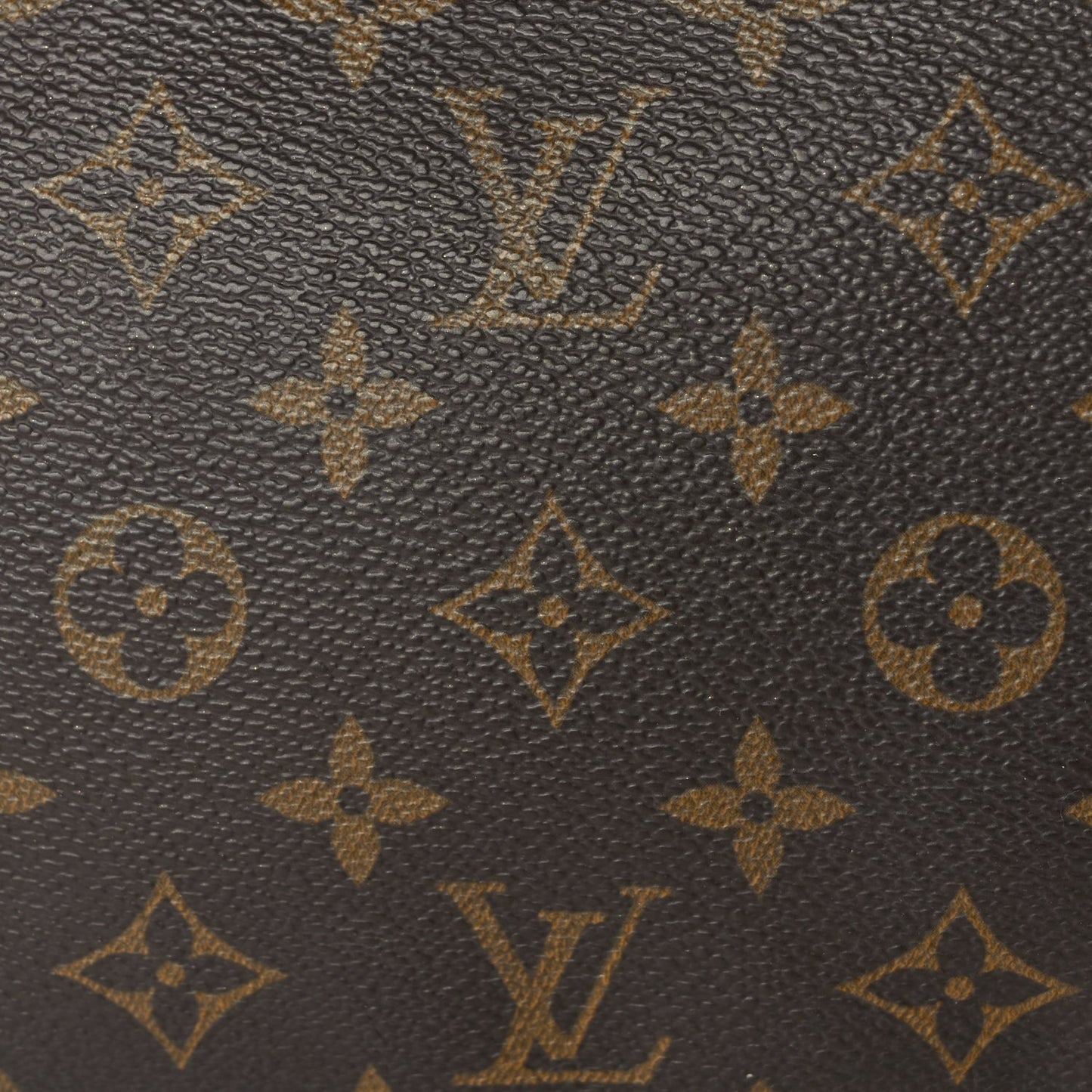 Louis Vuitton Monogram Pochette Accessories