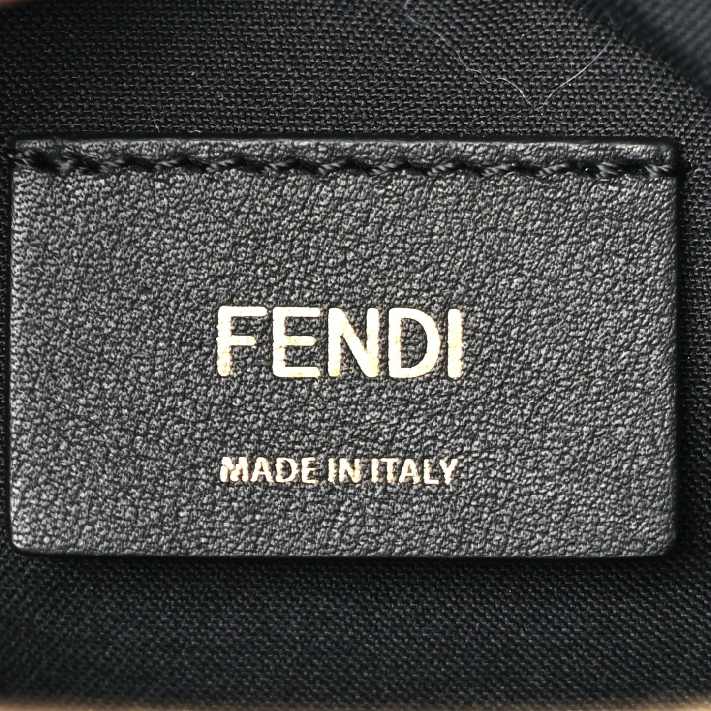 Fendi Vitello Grace Matte Medium Fendigraphy Hobo Bag Black