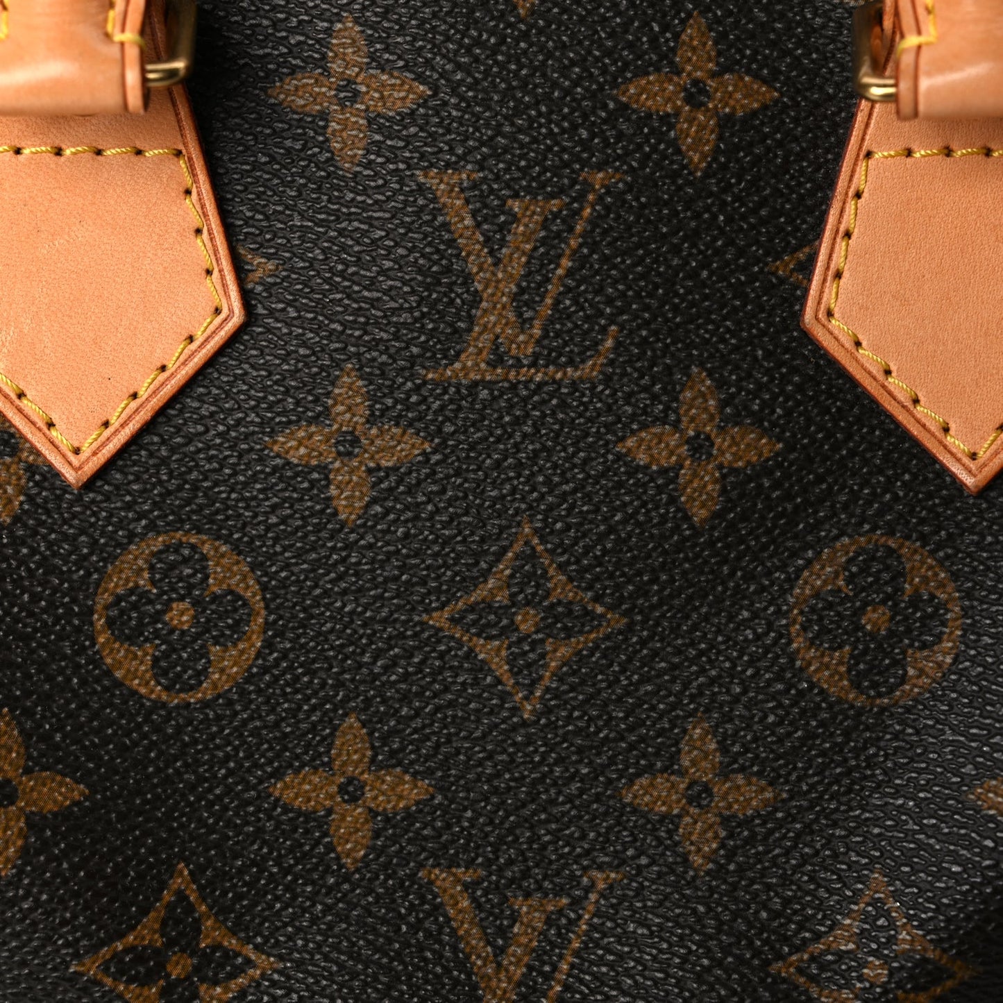 Louis Vuitton Monogram Speedy 25