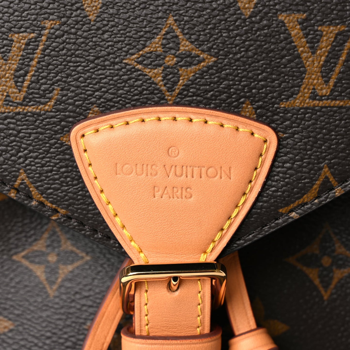 Louis Vuitton Monogram Montsouris PM
