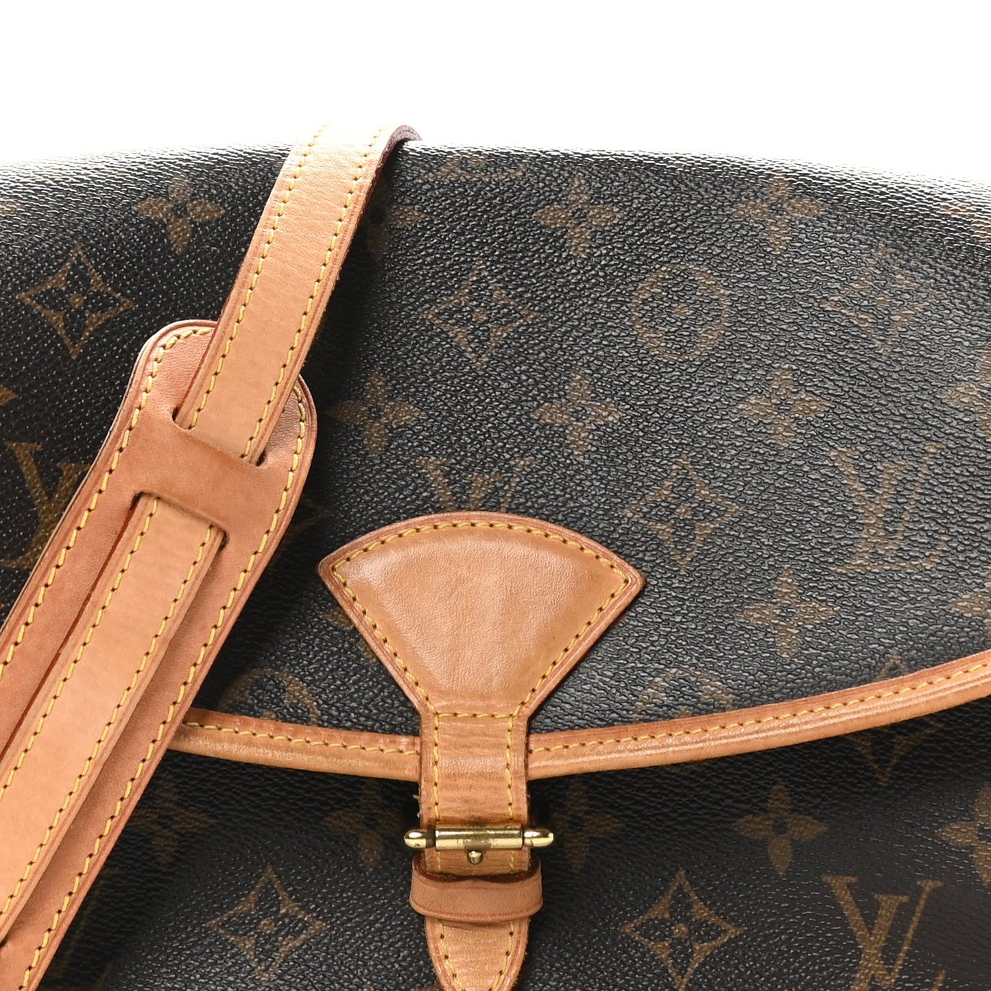 Louis Vuitton Monogram Sologne