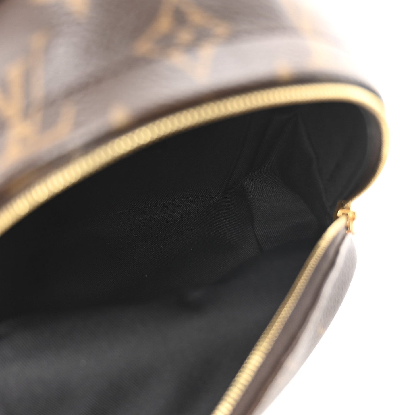 Louis Vuitton Monogram Palm Springs Backpack Mini
